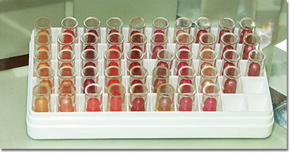 Mini Lips: Kleine Probelippenstifte